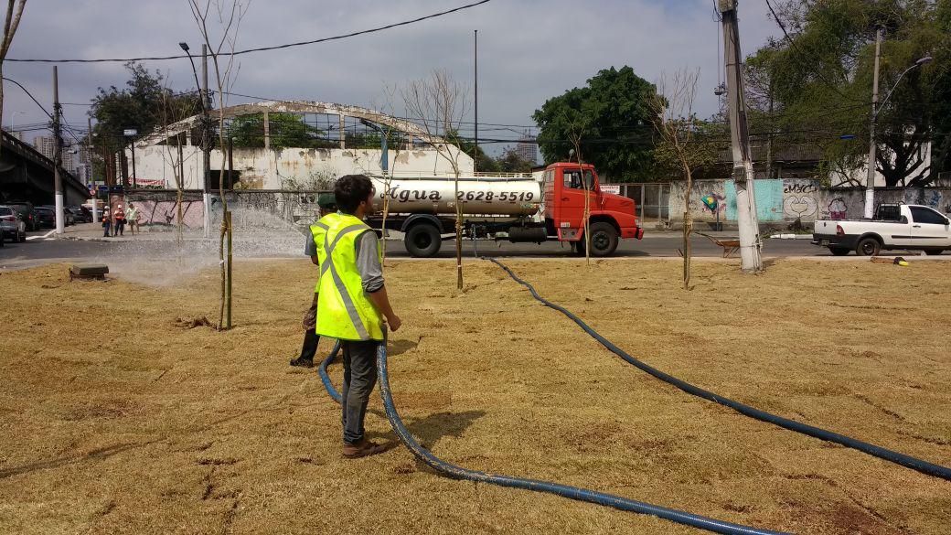 Regando grama na Rua